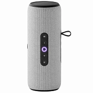 Яндекс Станция Стрит с Алисой (Серый) 500_191_504528